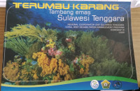 Image of Terumbu Karang Tambang Emas Sulawesi Tenggara